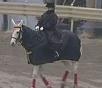 �C���[�W01