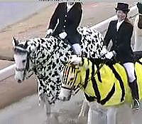 �C���[�W02